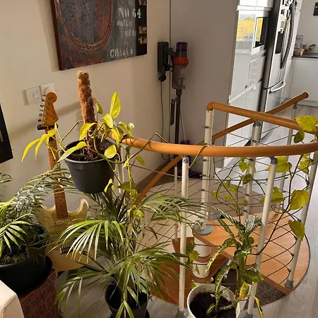 Villa Au Calme Avec Jardin A 5 Min Du Centre Nimes